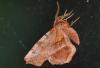 304659 – Photo : Christian Berquer – France (50)